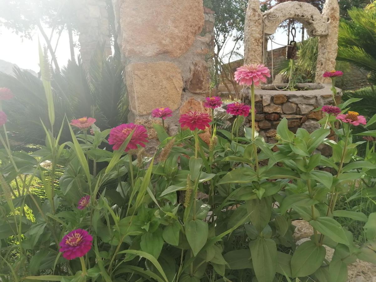 Ferienhaus Nonna Nina *