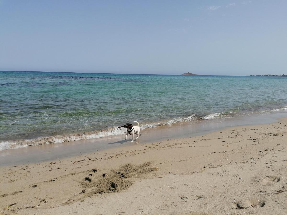 Holiday home Nonna Nina Capaci